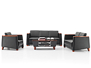 ���y(t��ng)��Ƥɳ�l(f��) CG-CTZPSF-09