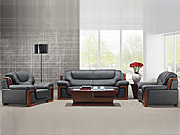 ���y(t��ng)��Ƥɳ�l(f��) CG-SA8039S