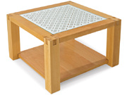 ��ľ��� CG-T99