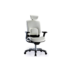 Apor-X office chair CG-���-1004-1