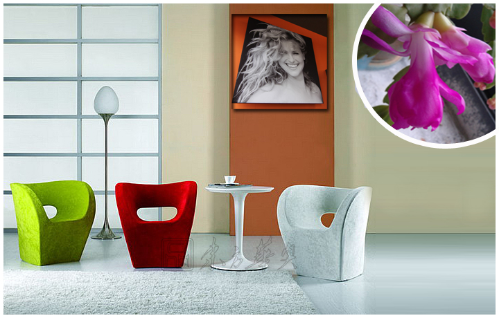 現代經典休閑椅|布面休閑椅|辦公家具|小阿爾貝特椅|休閑椅,布面休閑椅,設計師椅,茶餐廳椅,酒吧椅